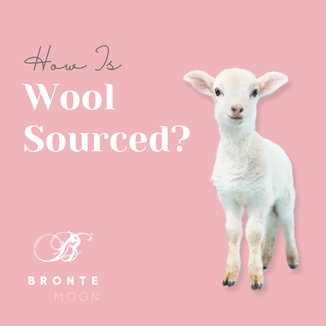 How is Wool Sourced?