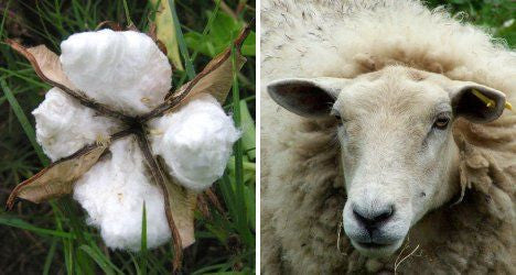 Cotton Vs Wool: Which is the Superior Fabric?